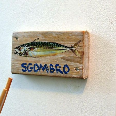 La Sciabbega B&B Porto Recanati Εξωτερικό φωτογραφία